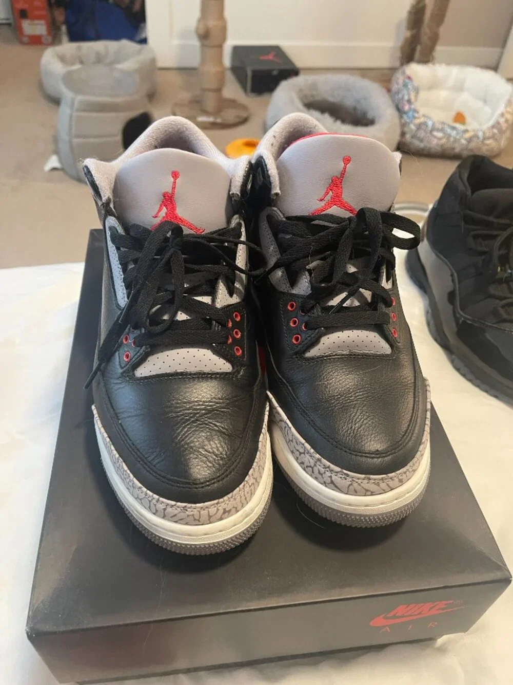 Jordan 100% authentic